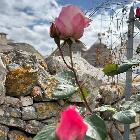Trulli Resort Aia Piccola アルベロベッロ エクステリア 写真