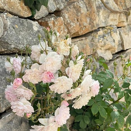 Trulli Resort Aia Piccola アルベロベッロ エクステリア 写真