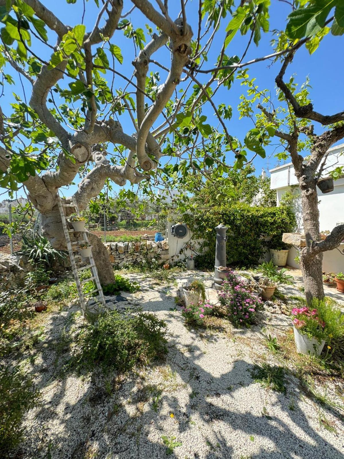 Trulli Resort Aia Piccola アルベロベッロ エクステリア 写真