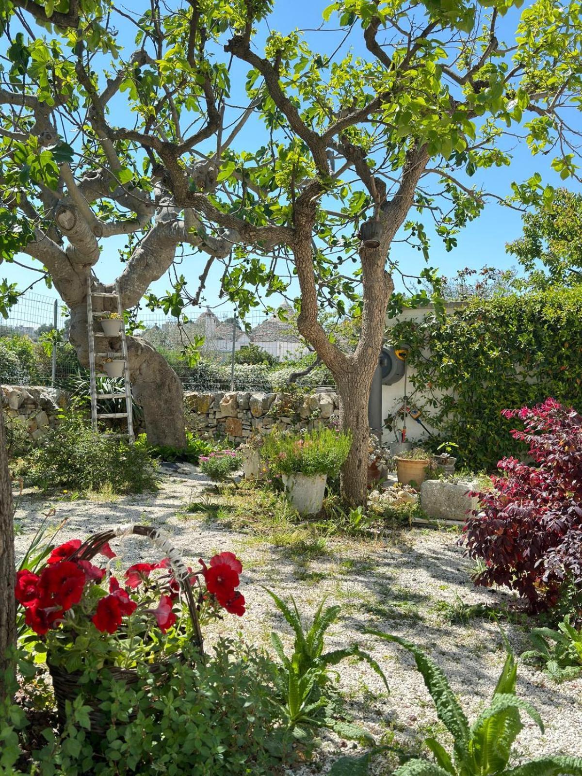 Trulli Resort Aia Piccola アルベロベッロ エクステリア 写真