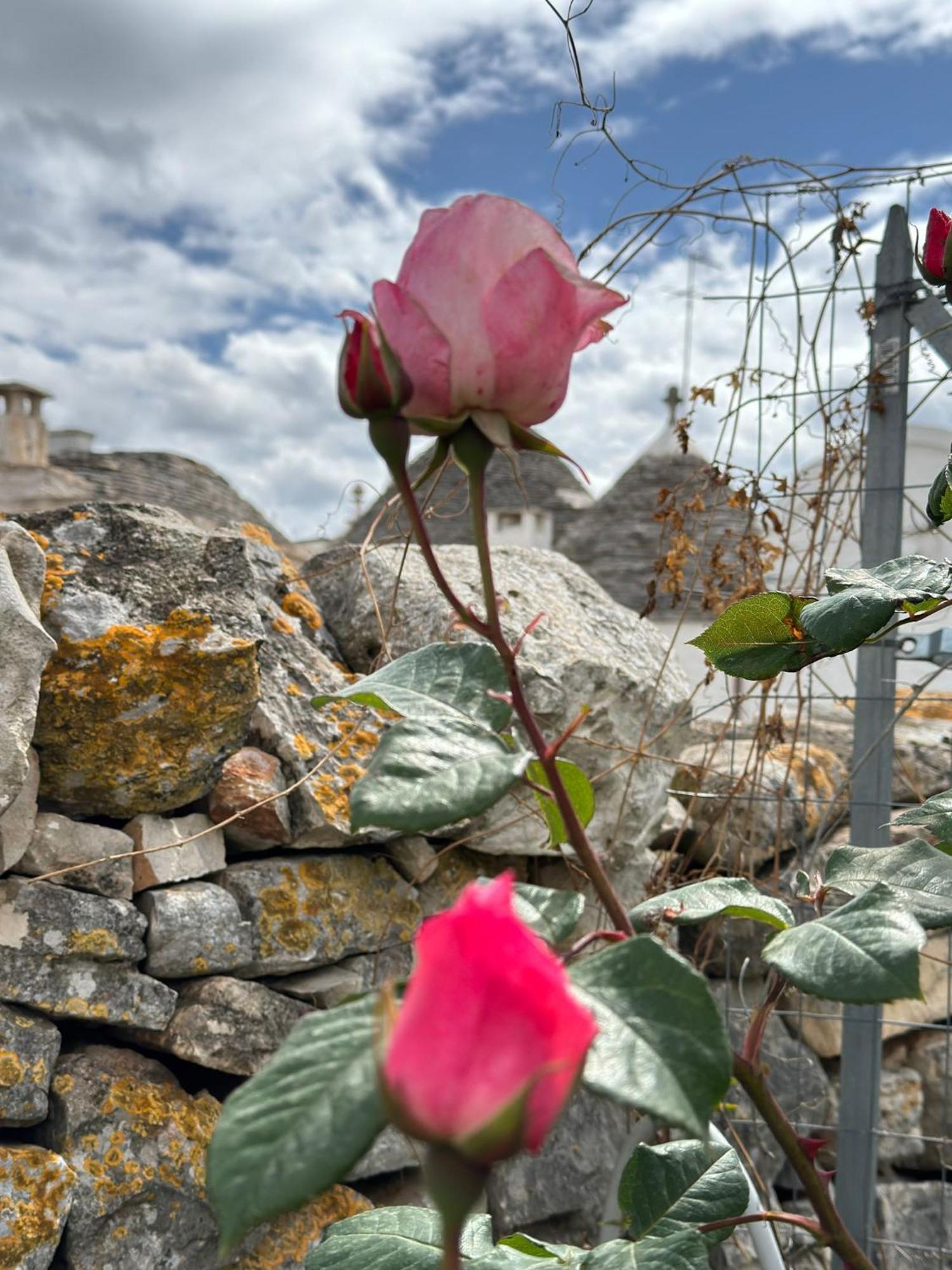 Trulli Resort Aia Piccola アルベロベッロ エクステリア 写真
