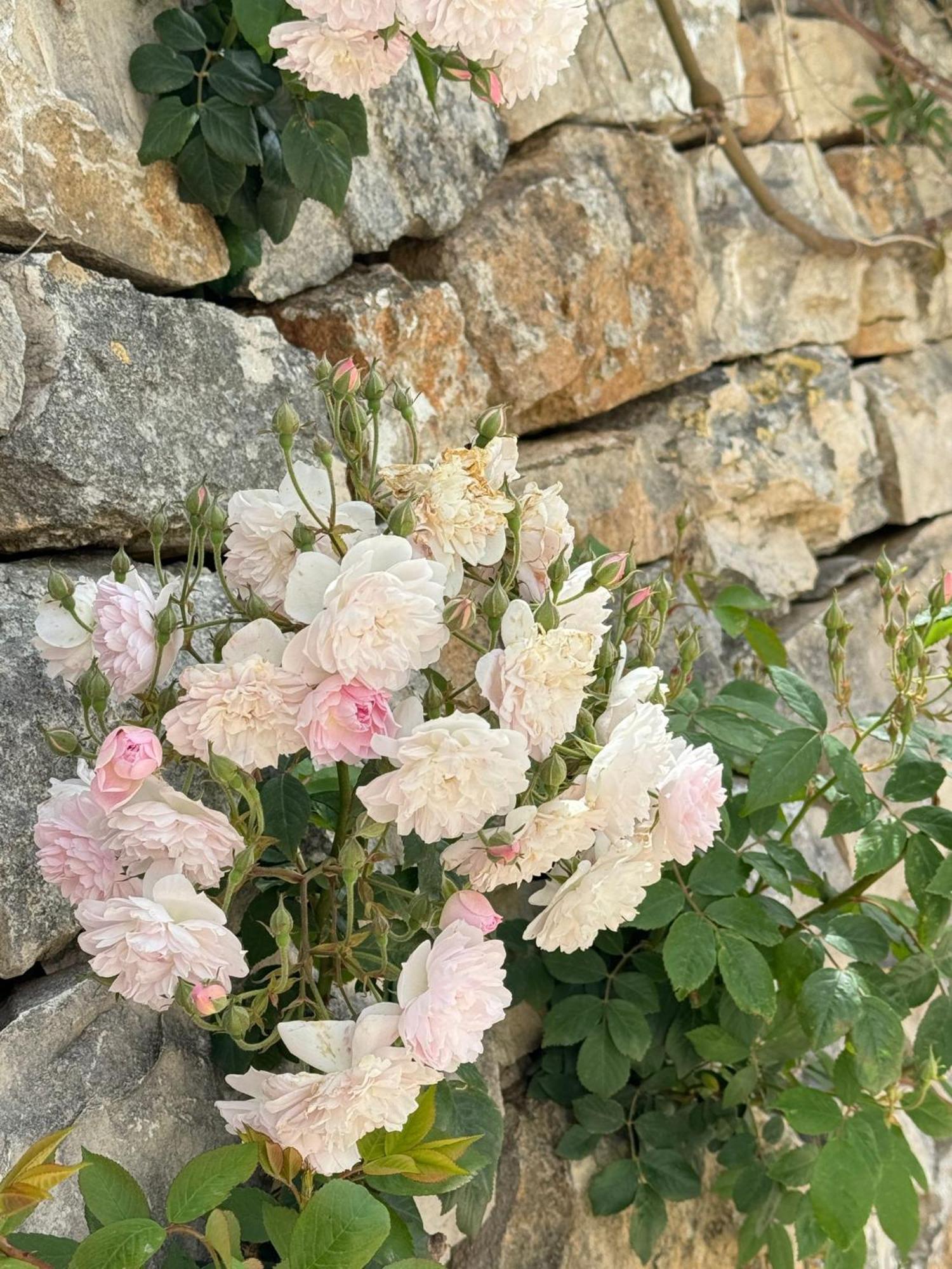 Trulli Resort Aia Piccola アルベロベッロ エクステリア 写真